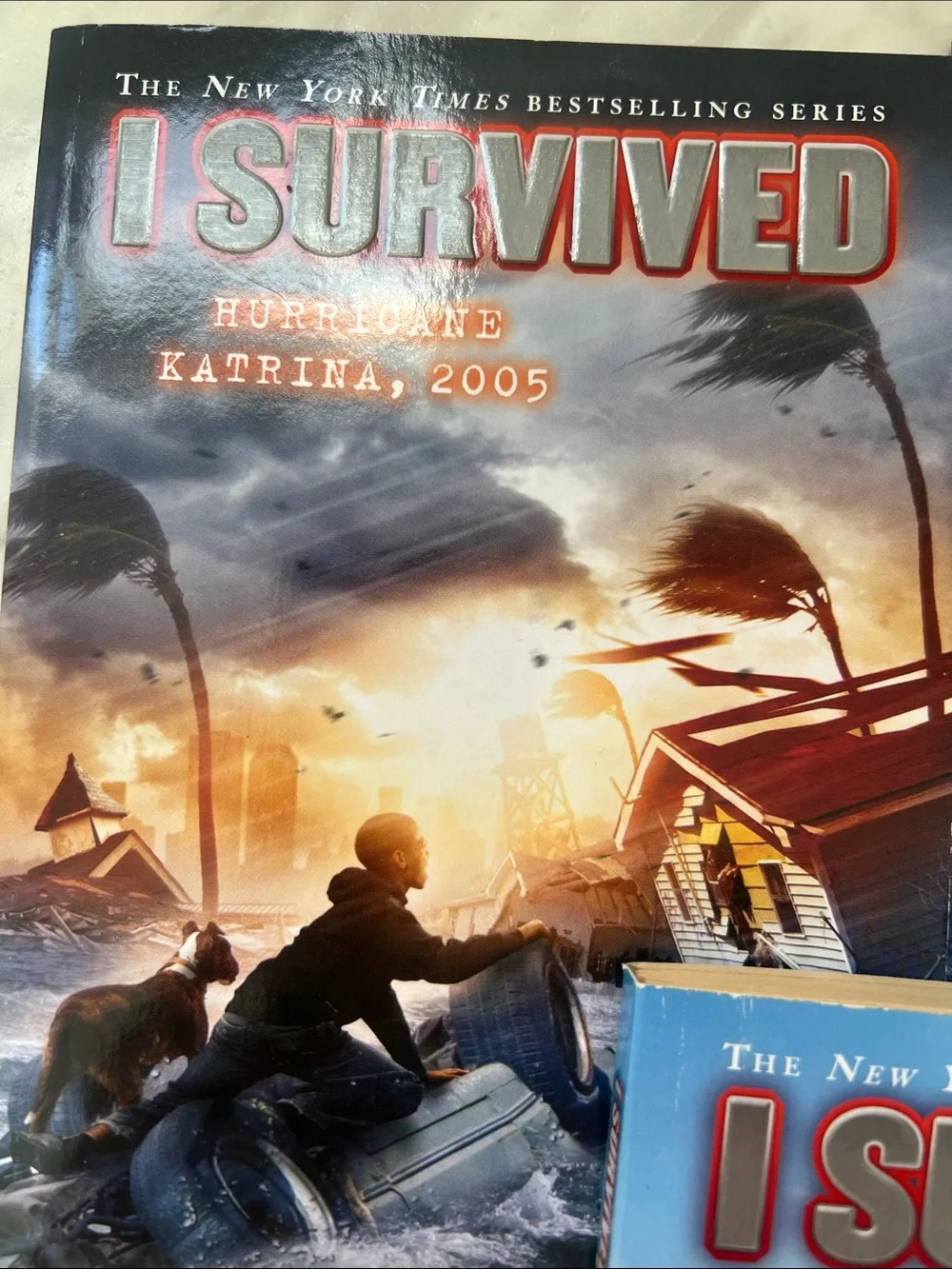 Scholastic I Survived Paperback Set - Blue, Dark Blue, Brown Covers